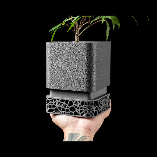 Vori Planter