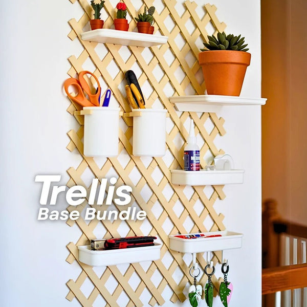Trellis Organizer
