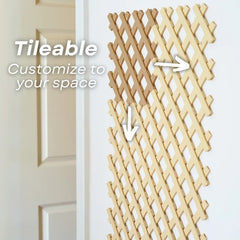 Trellis Organizer