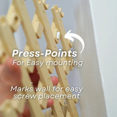 Trellis Organizer