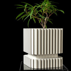 Striped Planter