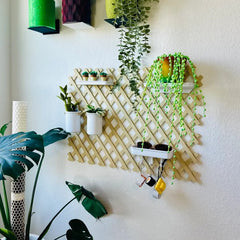 Trellis Organizer