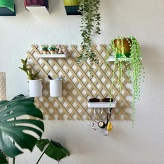Trellis Organizer