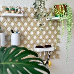 Trellis Organizer
